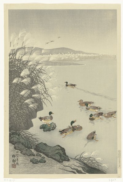 Anatre nell