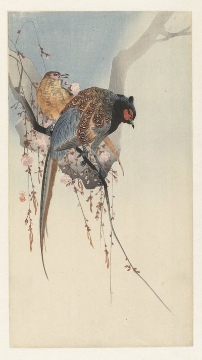 Coppia di fagiani e fiori di prugna da Ohara Koson
