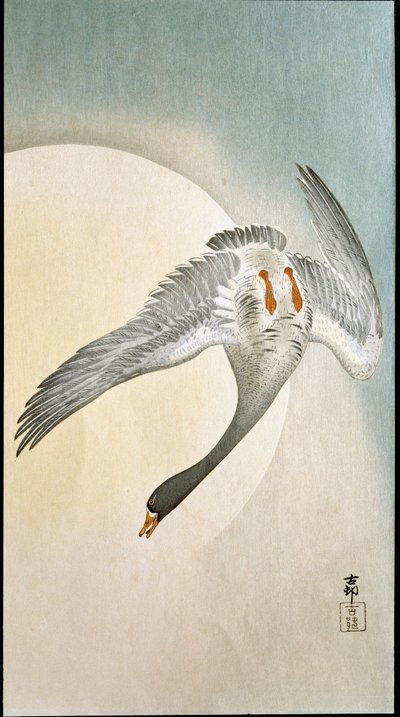 Volo di anatre al chiaro di luna (xilografia e stampa giapponese di Ohara Koson) da Ohara Koson