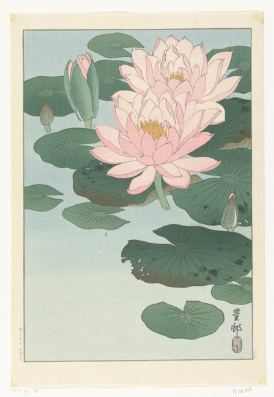 Ninfea in fiore da Ohara Koson
