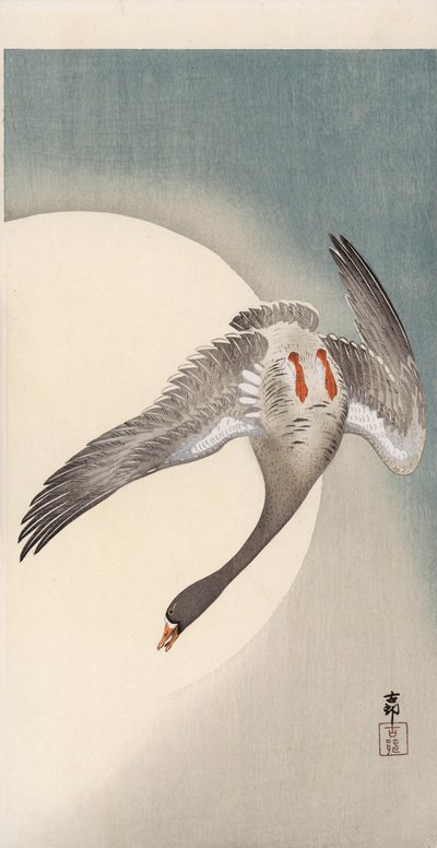 Oca dalla fronte bianca vista da sotto davanti alla luna da Ohara Koson