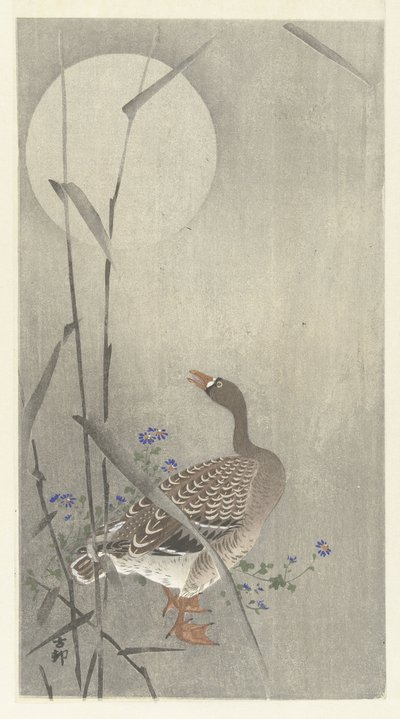 Oca alla luna piena da Ohara Koson