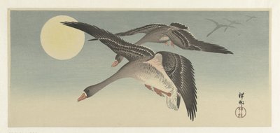 Oche alla luna piena da Ohara Koson