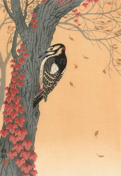 Picchio rosso maggiore su albero con edera rossa, XX secolo (stampa giapponese) da Ohara Koson