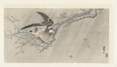 Storno grigio nella tempesta da Ohara Koson