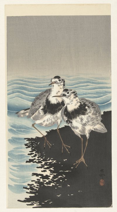 Grandi piovanelli pancianera da Ohara Koson