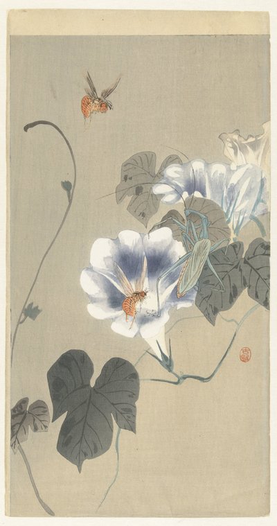 Insetti vicino a convolvolo da Ohara Koson