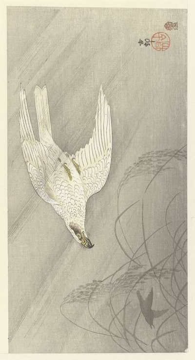 Falco cacciatore da Ohara Koson