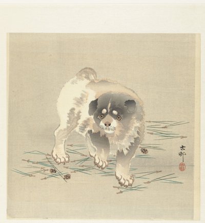 Cucciolo da Ohara Koson