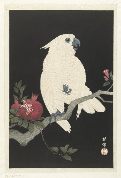 Cacatua e melograno da Ohara Koson