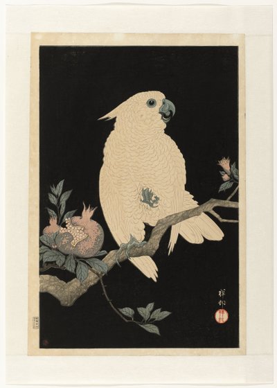 Cacatua con melograno da Ohara Koson