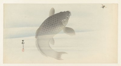Carpa e mosca da Ohara Koson