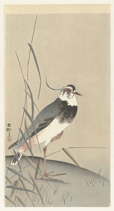 Pavoncella e canna da Ohara Koson