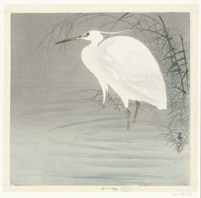 Airone bianco minore da Ohara Koson