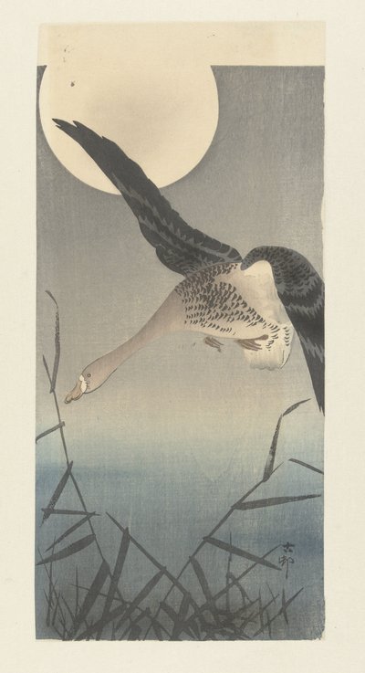 Oca selvatica alla luce della luna piena da Ohara Koson