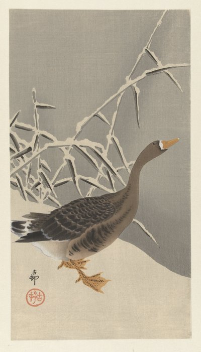Oca selvatica nella neve da Ohara Koson