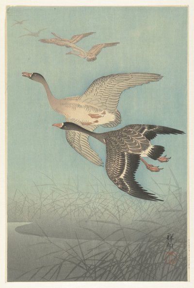 Oche selvatiche in volo da Ohara Koson