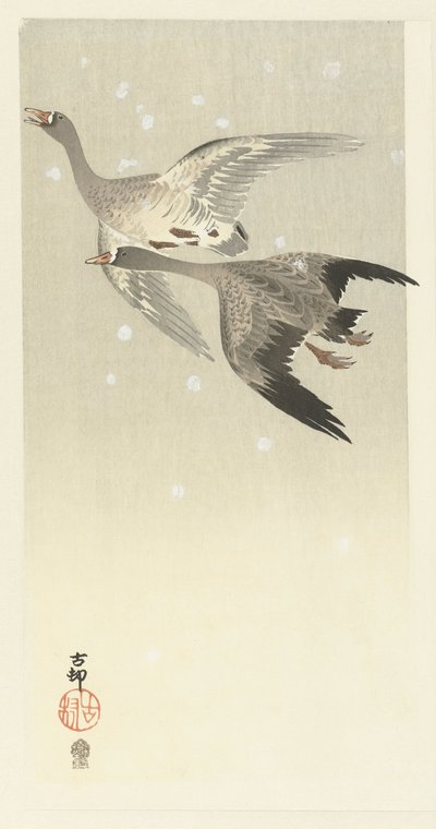 Oche selvatiche che volano nella neve da Ohara Koson