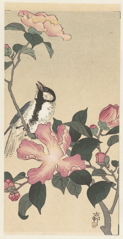 Cinciallegra su ramo con fiori rosa da Ohara Koson