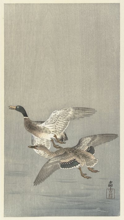 Coppia di anatre da Ohara Koson