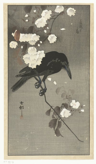 Corvo con fiori di ciliegio da Ohara Koson
