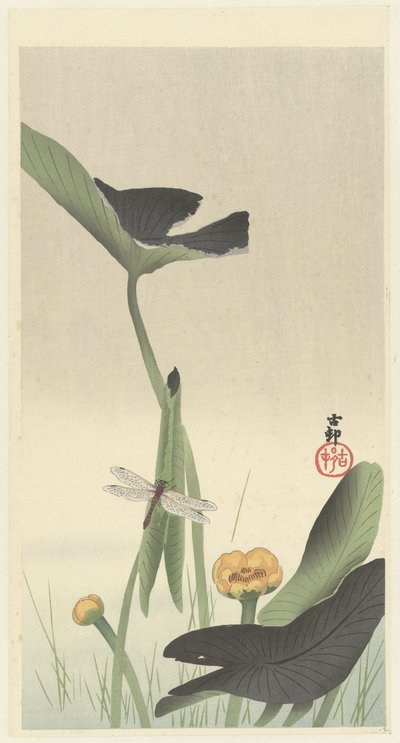 Libellula e loto da Ohara Koson