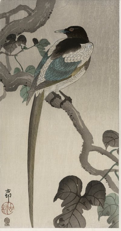 Gazza su un ramo di Pauwolna da Ohara Koson