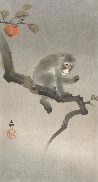 Scimmia su un albero da frutto da Ohara Koson
