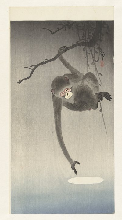 Scimmia che raggiunge il riflesso della luna da Ohara Koson