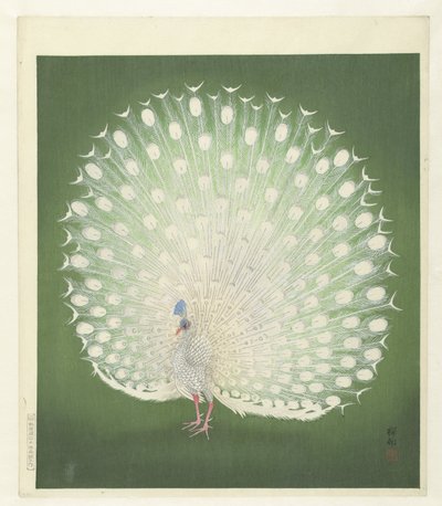 Pavone da Ohara Koson