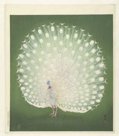 Pavone da Ohara Koson