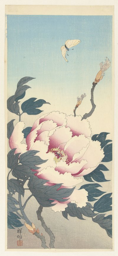 Peonia e una farfalla da Ohara Koson