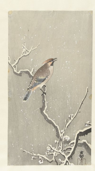 Beccofrusone su un ramo innevato da Ohara Koson