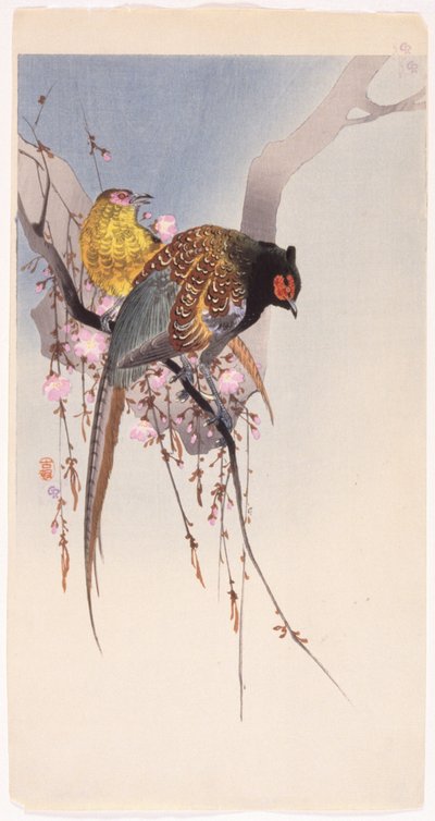 Fagiani e ciliegio pendente da Ohara Koson