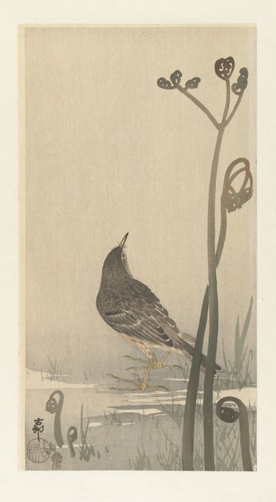 Pispola sulla riva da Ohara Koson