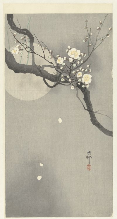 Fiori di prugna e luna piena da Ohara Koson