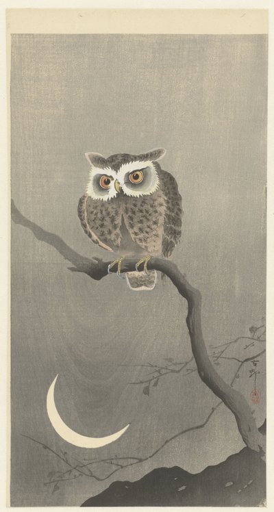 Gufo su ramo spoglio da Ohara Koson