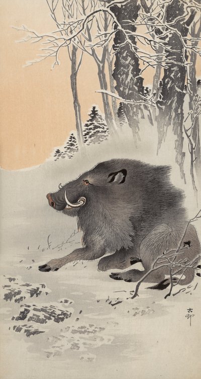 Cinghiale sdraiato in un paesaggio innevato da Ohara Koson
