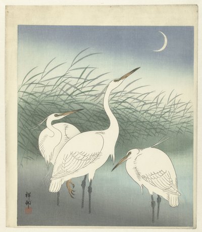 Aironi in acque poco profonde da Ohara Koson