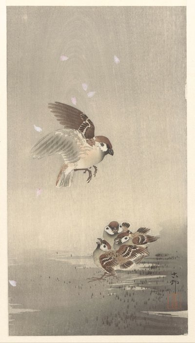 Passero con i piccoli da Ohara Koson