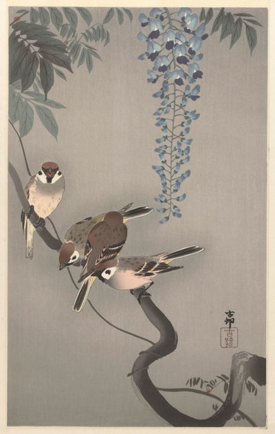 Passeri ad anello presso glicine da Ohara Koson