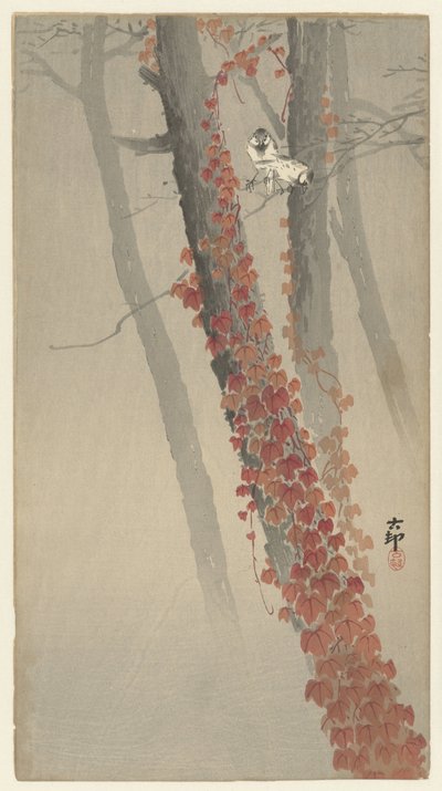 Edera rossa da Ohara Koson