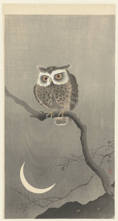 Gufo su un ramo con luna crescente da Ohara Koson
