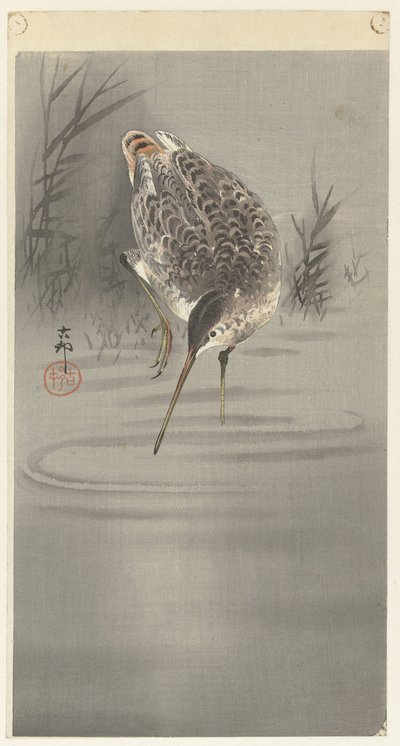 Beccaccia in acqua da Ohara Koson