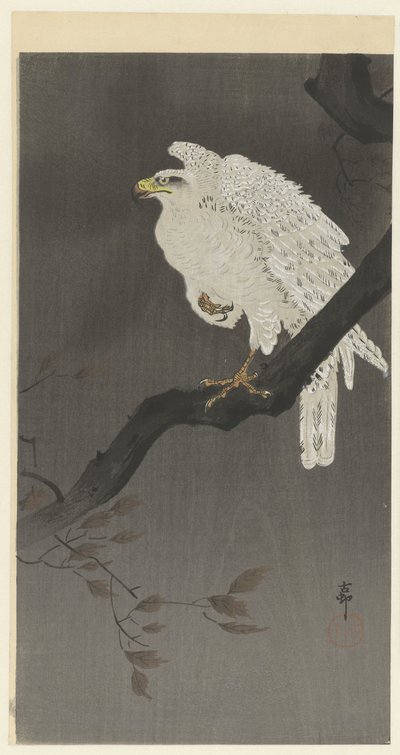 Aquila della neve su un ramo da Ohara Koson