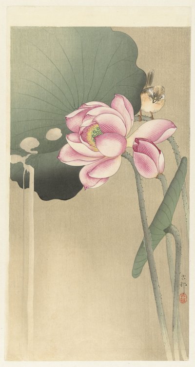 Uccello canoro e loto da Ohara Koson