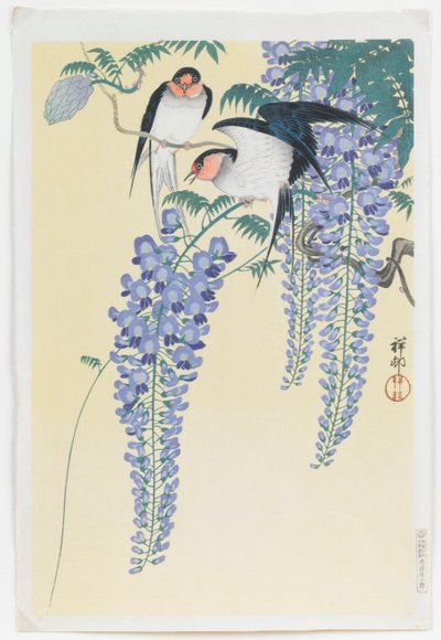 Rondini e glicine da Ohara Koson