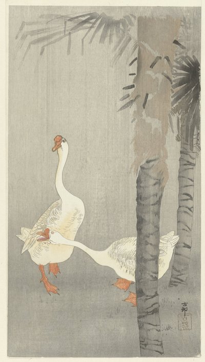 Oche domestiche sotto la pioggia da Ohara Koson