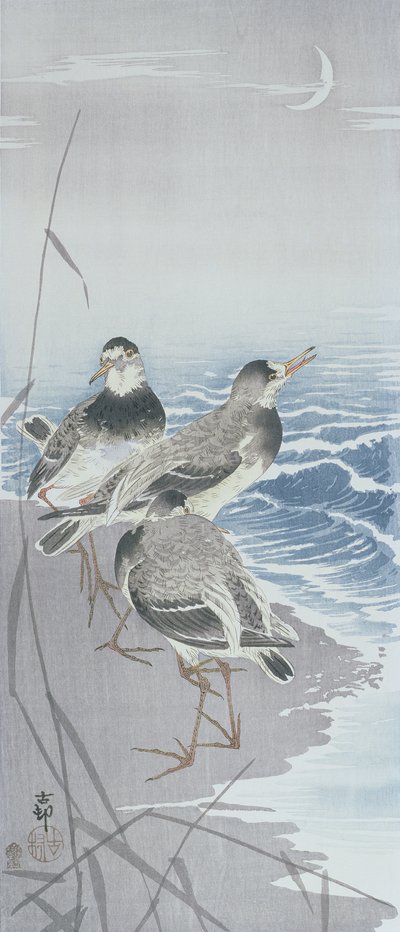 Tre piro-piro sulla riva davanti alle canne (stampa a blocchi di legno a colori) da Ohara Koson