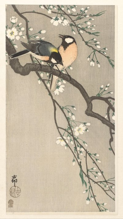 Cince su ramo di ciliegio da Ohara Koson